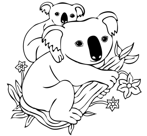 Baby Koala On Mother'S Back Coloring Page